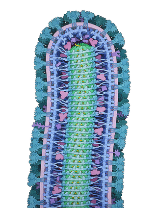 Illustration for article titled These Science Photos Are So Beautiful They're Basically Art